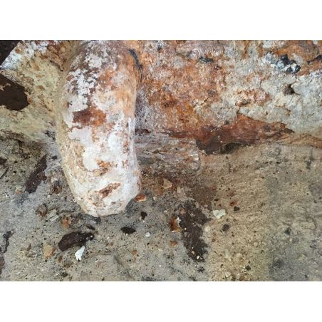 Lining equipment for varnishing  buy in online store PlastDesign Ukraine 